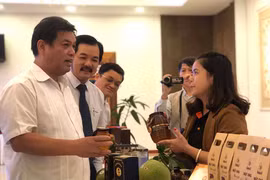 Hợp tác xã Mật ong Phương Di Ia Grai: Nuôi ong chuẩn VietGAP