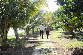 Miệt vườn giữa cao nguyên Gia Lai