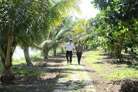 Miệt vườn giữa cao nguyên Gia Lai