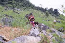 Nhức nhối nạn buôn bán người