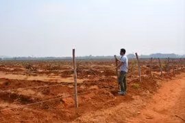 Sắp xét xử 12 cán bộ sai phạm tại Ban quản lý rừng phòng hộ Bắc Biển Hồ