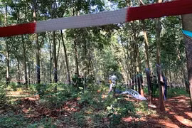 Bắt nghi can sát hại thiếu nữ 16 tuổi trong rừng cao su