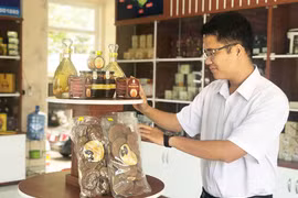 TechDemo 2019: Kết nối công nghệ