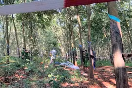 Thiếu nữ 16 tuổi lõa thể trong rừng cao su, nghi bị giết và hiếp dâm