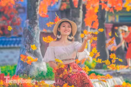 Ngỡ ngàng với con đường phong lá đỏ ở Hà Nội