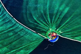 Cuộc thi ảnh Nature Conservancy 2019: Nhiếp ảnh gia Lê Văn Vinh đạt giải nhất