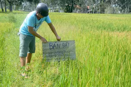 "Sốt" đất vùng ven thị xã Ayun Pa