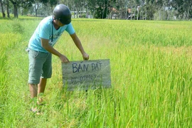 "Sốt" đất vùng ven thị xã Ayun Pa