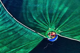 Ảnh ngư dân ở Hòn Yến đạt giải nhất cuộc thi quốc tế