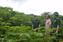 Đảng viên Biên phòng phụ trách hộ: Thắt chặt tình đoàn kết