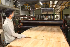Doanh nghiệp gỗ Trung Quốc ồ ạt sang VN: Lo ngại gian lận xuất xứ