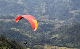 Ngắm ruộng bậc thang Hoàng Su Phì ngả vàng thơ mộng từ những cánh dù lượn