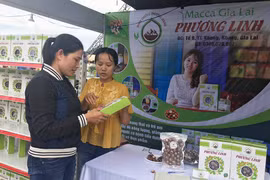 Khởi nghiệp với các sản phẩm từ hạt mắc ca