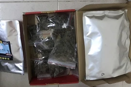 Biên phòng Đà Nẵng bắt 2 sinh viên buôn bán cần sa