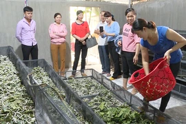 Thu nhập khá nhờ chuyển đổi cây trồng, vật nuôi