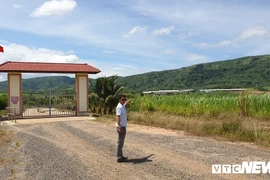 Lãnh đạo tỉnh Đắk Lắk 'né' trả lời dự án chăn nuôi bò sai phạm?