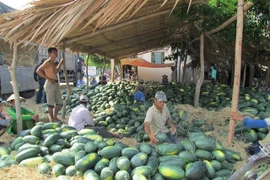 Trung Quốc liên tục thay đổi, hàng Việt ùn tắc trở tay không kịp