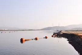 Chồng buộc con 18 tháng vào người rồi nhảy hồ tự tử vì mâu thuẫn với vợ