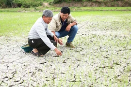 Kỳ 1:Nước sinh hoạt, sản xuất thiếu trầm trọng