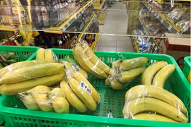 HAGL Agrico (HNG) giải trình về việc bị kiểm toán ngoại trừ ý kiến có thể lỗ thêm 192 tỷ đồng