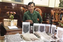 Đak Đoa: Nâng tầm sản phẩm nông nghiệp đặc trưng