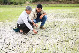Kỳ 1:Nước sinh hoạt, sản xuất thiếu trầm trọng