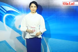 Gia Lai 48h: Người dân kê khai sản xuất trên đất lâm nghiệp hơn 28.327 ha