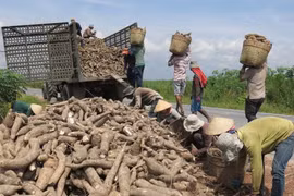 Trung Quốc sang Campuchia tìm bạn, thế mạnh tỷ USD Việt lao dốc