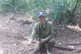 Li kì hành trình theo dấu mãng xà U Minh Hạ: Rắn hổ mây bằng cột đèn