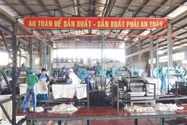 Công ty Cao su Mang Yang: Chú trọng an toàn vệ sinh lao động