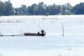 Mưu sinh… lũ muộn