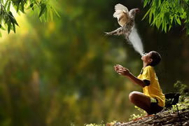 Vẻ đẹp mộc mạc của cuộc sống thường ngày ở làng quê Indonesia