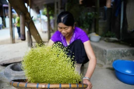 Say sưa cốm Tú Lệ