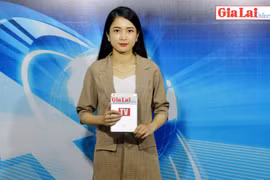 Gia Lai 48h: Ban Kinh tế Trung ương khảo sát và làm việc tại Gia Lai