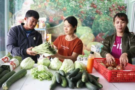 Cần mô hình thoáng cho hợp tác xã tại Gia Lai