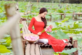 Trà Ngọc Hằng xao xuyến với mùa sen Hà Nội