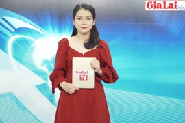 Gia Lai 48h: Nhà vườn trồng hoa Tết ở Pleiku lo thất thu vì dịch