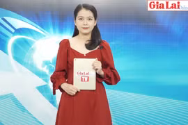 Gia Lai 48h: Nhà vườn trồng hoa Tết ở Pleiku lo thất thu vì dịch