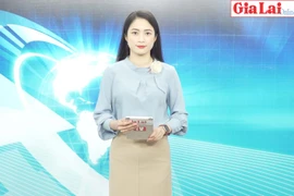 Gia Lai 48h: Thanh niên Gia Lai tự nguyện lên đường bảo vệ Tổ quốc