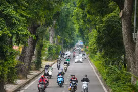 Tết trồng cây Xuân Tân Sửu: Việc làm nhỏ nhân lên nhiều cánh rừng lớn