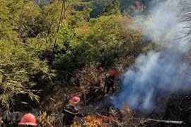 Đắk Nông: Kịp thời dập tắt vụ cháy rừng tại thành phố Gia Nghĩa