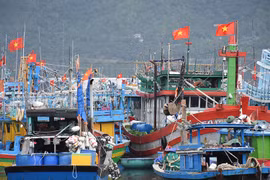 Những hải trình mang vị đời thấm ngọt