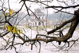 Hẹn cùng mùa xuân