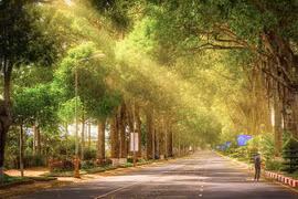 Buôn Ma Thuột và những khu rừng trong lòng phố