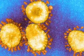 COVID-19: Anh phát hiện một biến thể mới của SARS-CoV-2