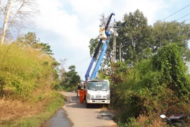 Công ty Điện lực Gia Lai phấn đấu dẫn đầu khu vực