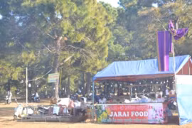 Cần bảo vệ cảnh quan đồi thông xã Ia Dêr