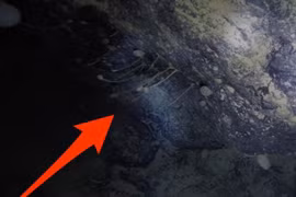 Phát hiện 'triệu năm có một': Tìm ra sự sống ở nơi khắc nghiệt nhất Trái đất