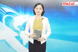 Gia Lai 48h: Khôi phục vận tải hành khách công cộng tại vùng Đông Nam tỉnh