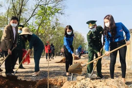 Nét đẹp Tết trồng cây, mang lại màu xanh cho đất nước